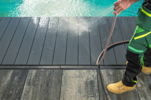 Best Roof Pressure Washing  in Junction City, CA