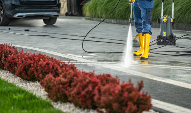 Best House Pressure Washing  in Junction City, CA