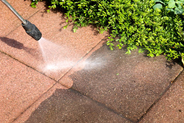 Best Commercial Building Pressure Washing  in Junction City, CA